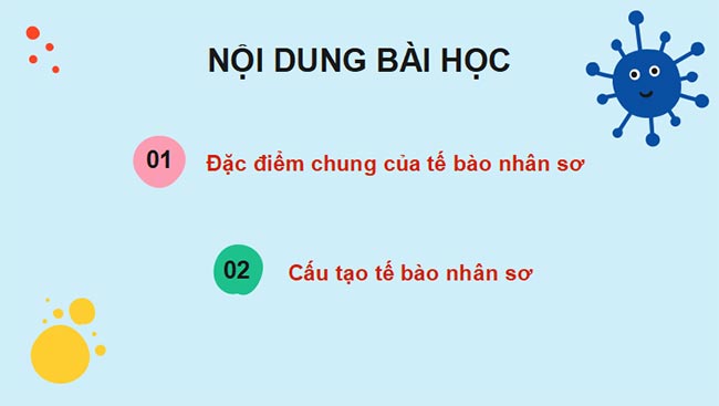 PowerPoint Sinh học 10 Bài 7 Kết nối tri thức