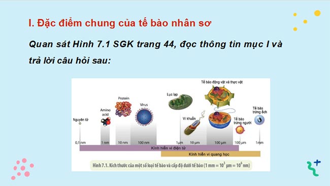 PowerPoint Sinh học 10 Bài 7 Kết nối tri thức