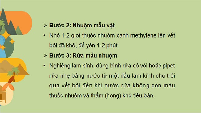 PowerPoint Sinh học 10 Bài 9 Kết nối tri thức