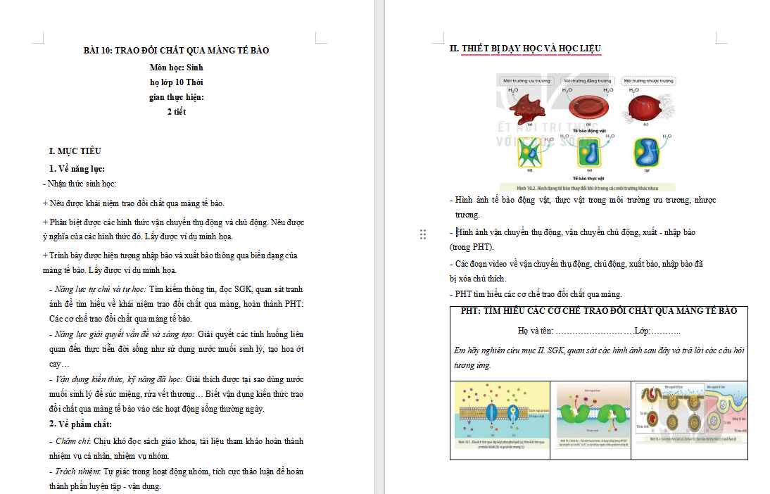 PowerPoint Sinh học 10 Kết nối Bài 10