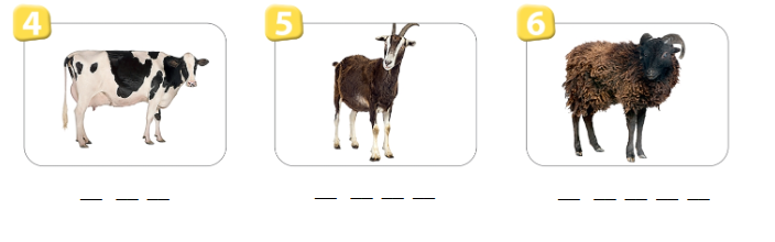 sbt tieng anh 4 wonderful world unit 3 lesson 1 2*784751