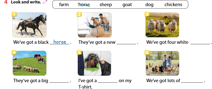 Sách bài tập Tiếng Anh lớp 4 Unit 1 lesson 1 minh họa 4