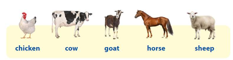 Tiếng Anh lớp 4 unit 3 lesson 1 minh họa 2