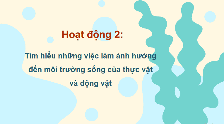 TNXH 2 ki 2 5*786924