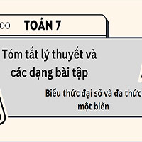 Tóm tắt lý thuyết và các dạng bài tập: Biểu thức đại số và đa thức một biến