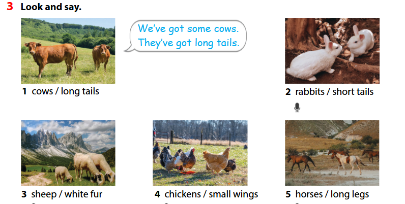 Wonderful world 4 unit 3 On the farm lesson 2 minh họa 3