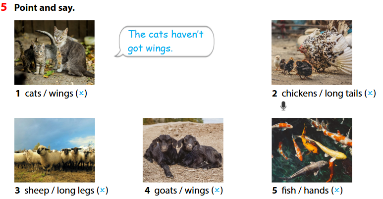 Wonderful world 4 unit 3 On the farm lesson 2 minh họa 5