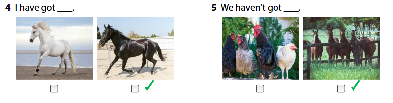 Wonderful world 4 unit 3 On the farm lesson 2 minh họa 10