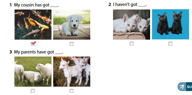 Wonderful world 4 unit 3 On the farm lesson 2 minh họa 7