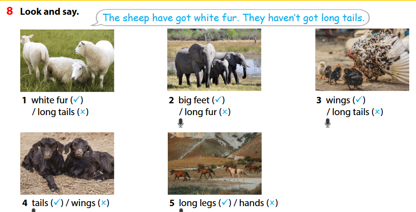 Wonderful world 4 unit 3 On the farm lesson 2 minh họa 11