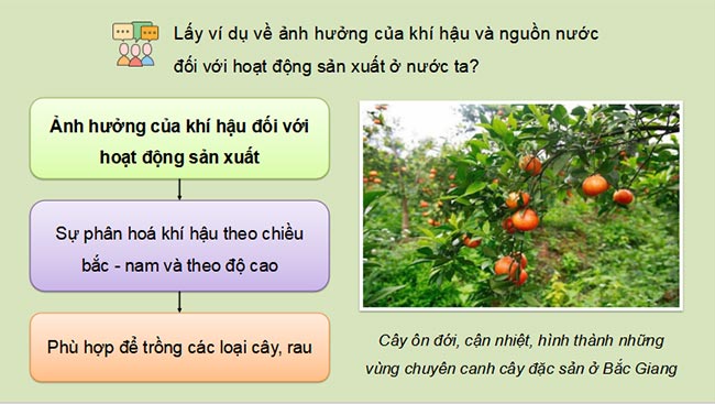 Giáo án PowerPoint Địa lí 8 Bài 7 Kết nối tiri thức