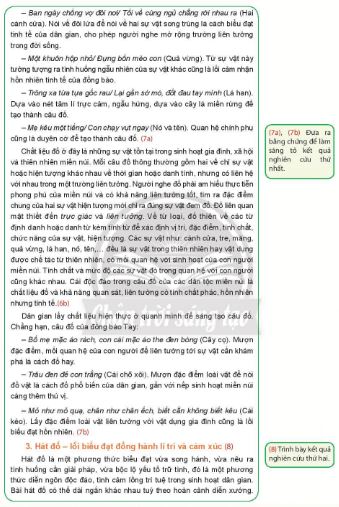 Soạn Chuyên đề Ngữ văn 10 Chân trời sáng tạo phần 2: Viết báo cáo và thuyết trình kết quả nghiên cứu về một vấn đề văn học dân gian