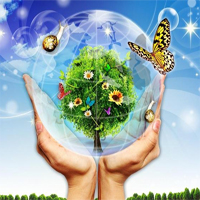 Giáo án Đạo đức 5 Bài 7: Môi trường sống quanh em