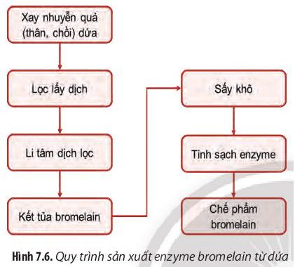 Giải Chuyên đề Sinh học 10 Chân trời sáng tạo bài 7
