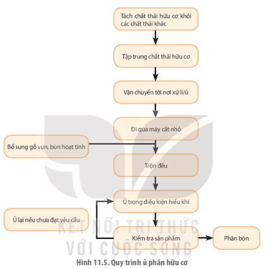 Giải Chuyên đề Sinh học 10 Kết nối tri thức bài 11
