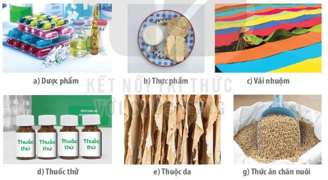 Giải Chuyên đề Sinh học 10 Kết nối tri thức bài 5