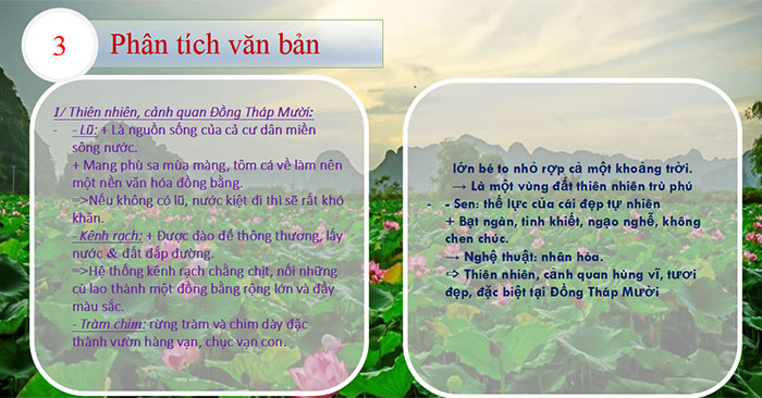 PowerPoint Ngữ văn 6 Bài 3: Đồng Tháp Mười mùa nước nổi