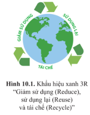 Giải Chuyên đề Sinh học 10 Cánh diều bài 10