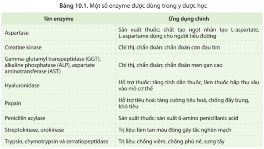 Giải Chuyên đề Sinh học 10 Cánh diều bài 10