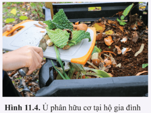 Giải Chuyên đề Sinh học 10 Cánh diều bài 11