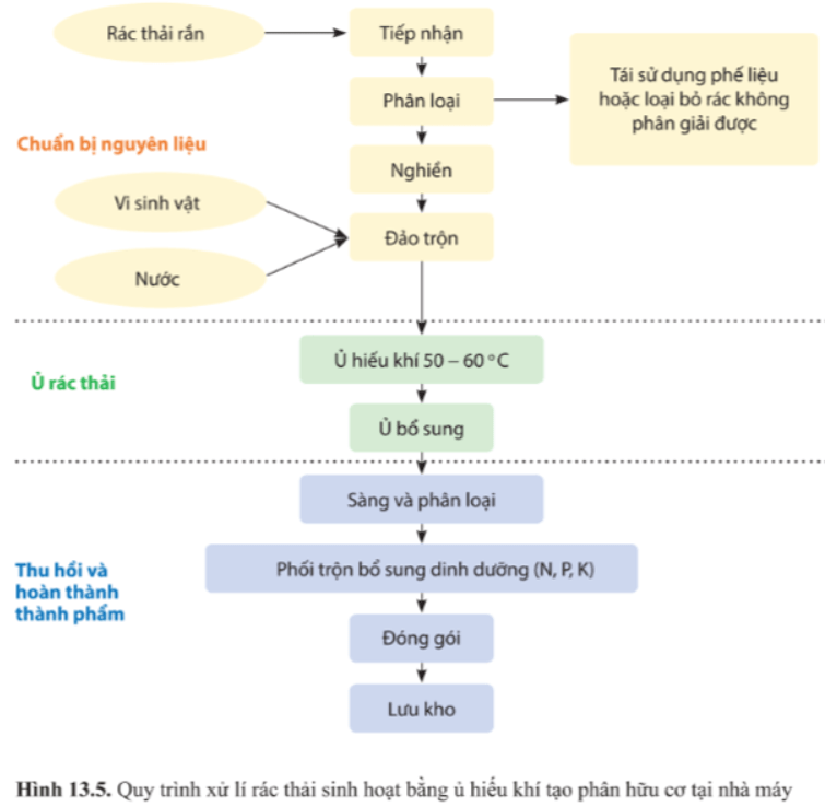 Giải Chuyên đề Sinh học 10 Cánh diều bài 13