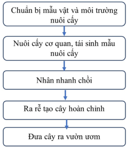 Giải Chuyên đề Sinh học 10 Cánh diều bài 3