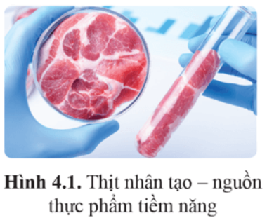 Giải Chuyên đề Sinh học 10 Cánh diều bài 4