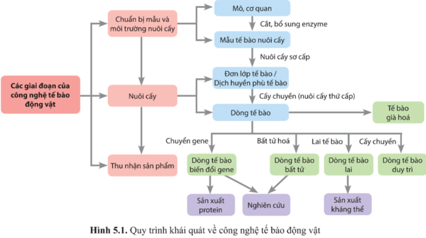 Giải Chuyên đề Sinh học 10 Cánh diều bài 5