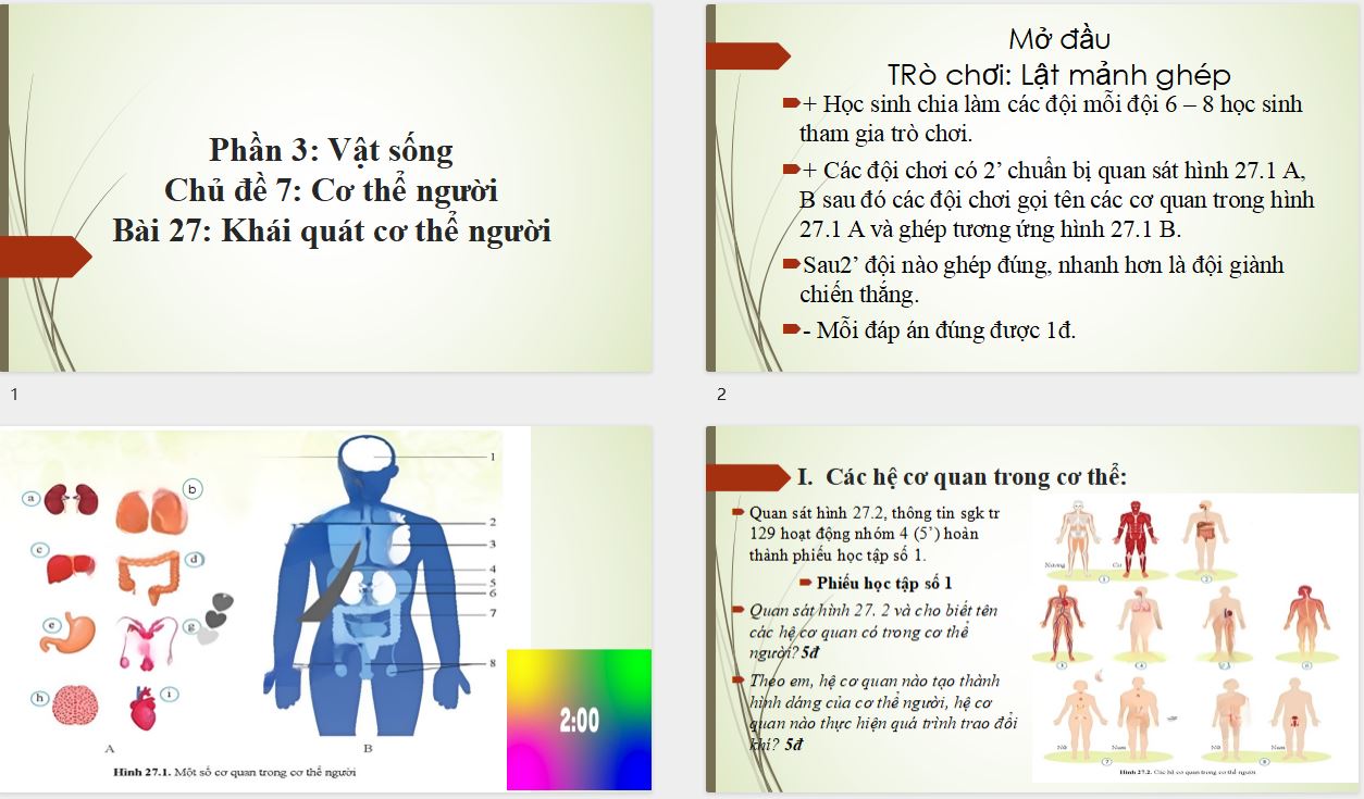 Kế hoạch bài dạy Word + Powerpoint Khoa học tự nhiên - Sinh học lớp 8 sách Cánh diều 