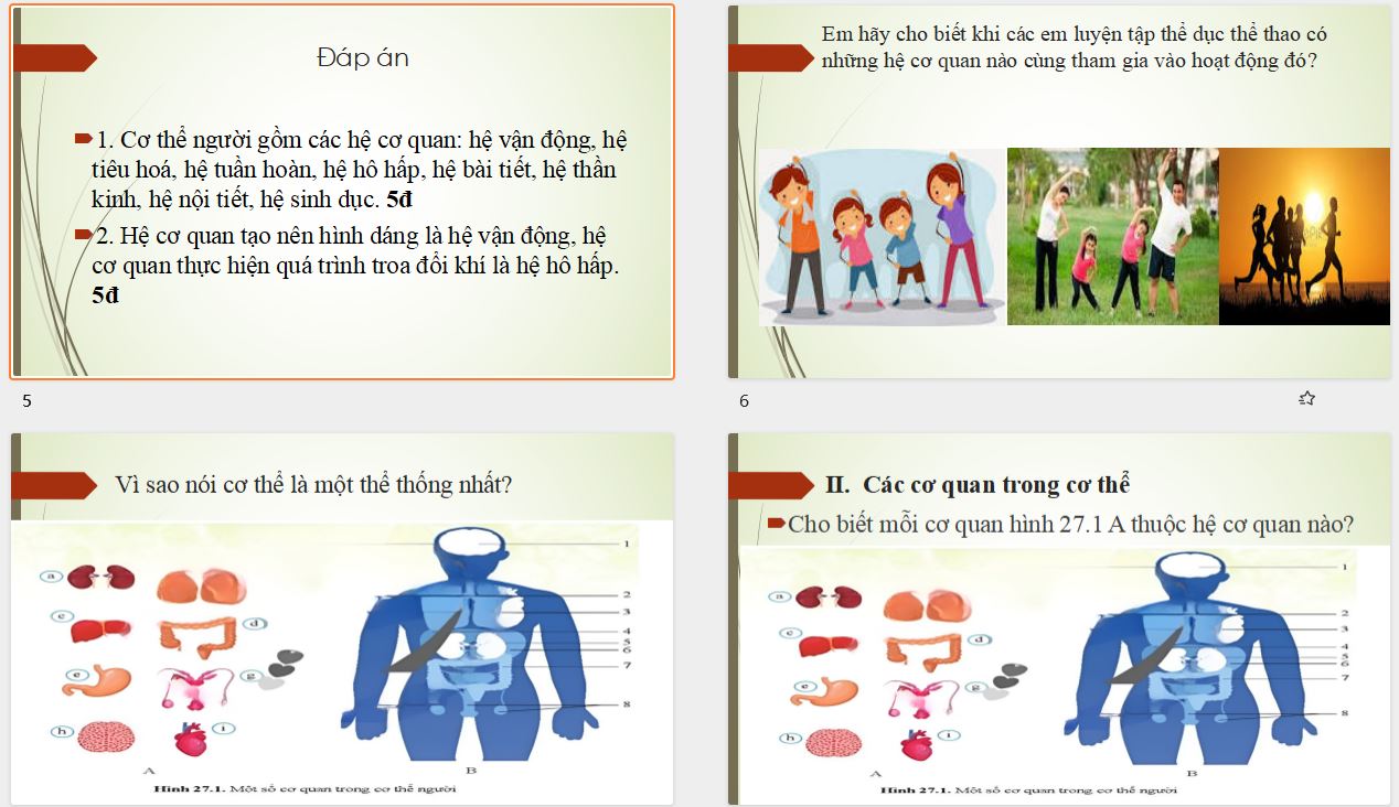 Kế hoạch bài dạy Word + Powerpoint Khoa học tự nhiên - Sinh học lớp 8 sách Cánh diều 