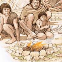 Giáo án Lịch sử 6 Bài 5: Chuyển biến về kinh tế, xã hội cuối thời nguyên thủy