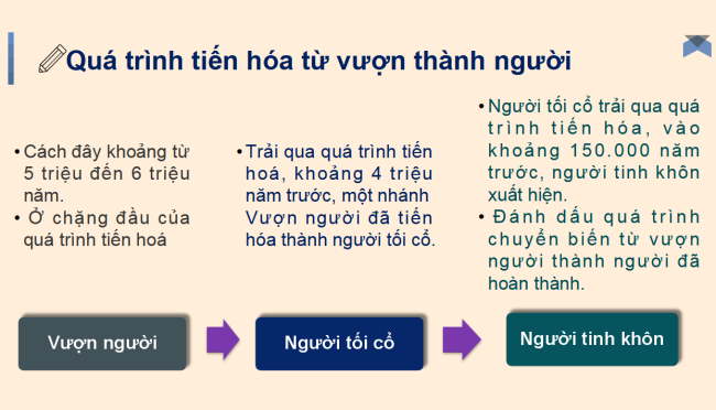 PowerPoint Bài 3: Nguồn gốc loài người