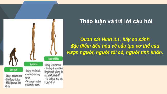 PowerPoint Bài 3: Nguồn gốc loài người