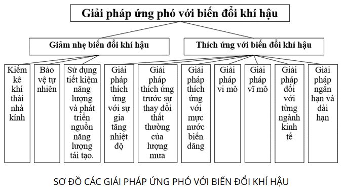 Giải Chuyên đề Địa lí 10 Chân trời sáng tạo: Ứng phó với biến đổi khí hậu