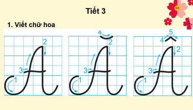 PowerPoint Tiếng Việt 2 Bài 3: Viết chữ hoa Ă, Â
