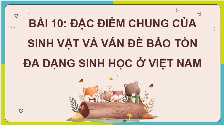 Giáo án PowerPoint Địa lí 8 Cánh diều Bài 10