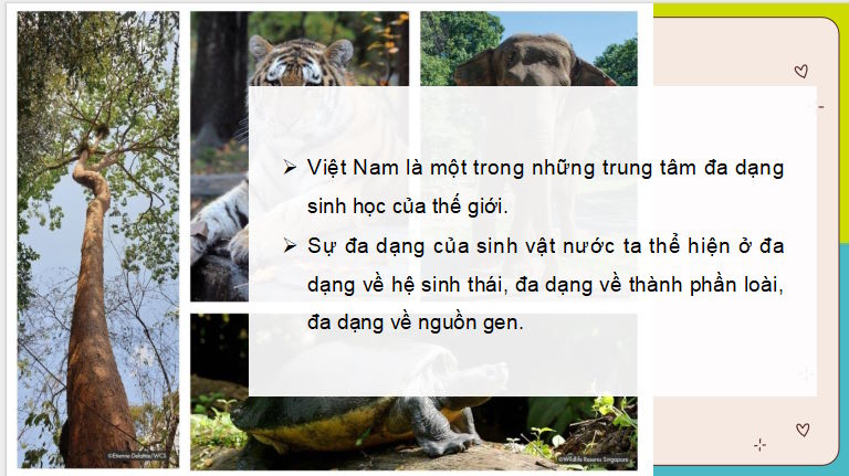 Giáo án PowerPoint Địa lí 8 Cánh diều Bài 10