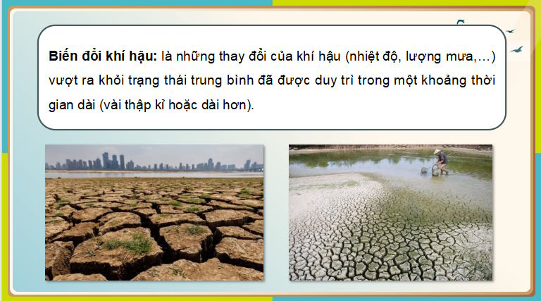 Giáo án PowerPoint Địa lí 8 Cánh diều Bài 8