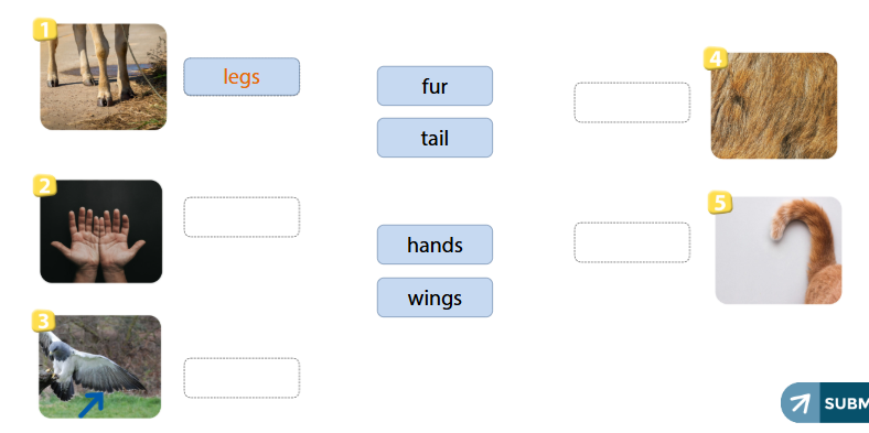 Workbook Tiếng Anh 4 Wonderful world unit 3 lesson 2 minh họa 1