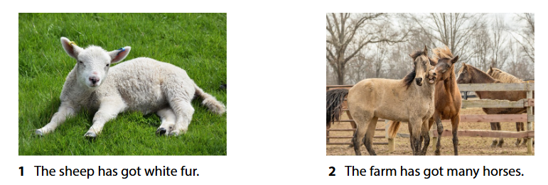 tieng anh 4 wonderful world unit 3 lesson 3 6*797711