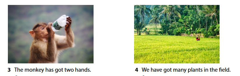 tieng anh 4 wonderful world unit 3 lesson 3 7*797709