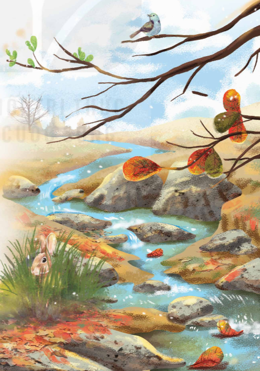 Mầm non lớp 5 Kết nối tri thức