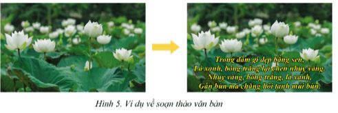 Giải Chuyên đề Tin học 10 Cánh diều bài 1: Tóm tắt các khả năng của hệ soạn thảo văn bản