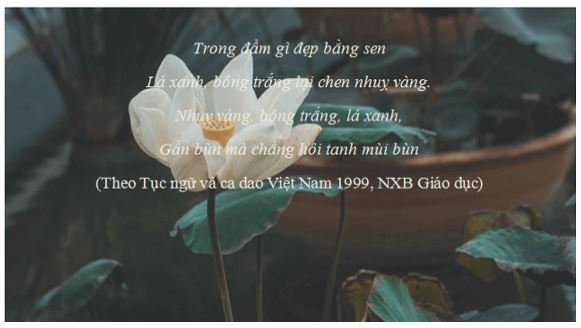 Giải Chuyên đề Tin học 10 Cánh diều bài 1: Tóm tắt các khả năng của hệ soạn thảo văn bản