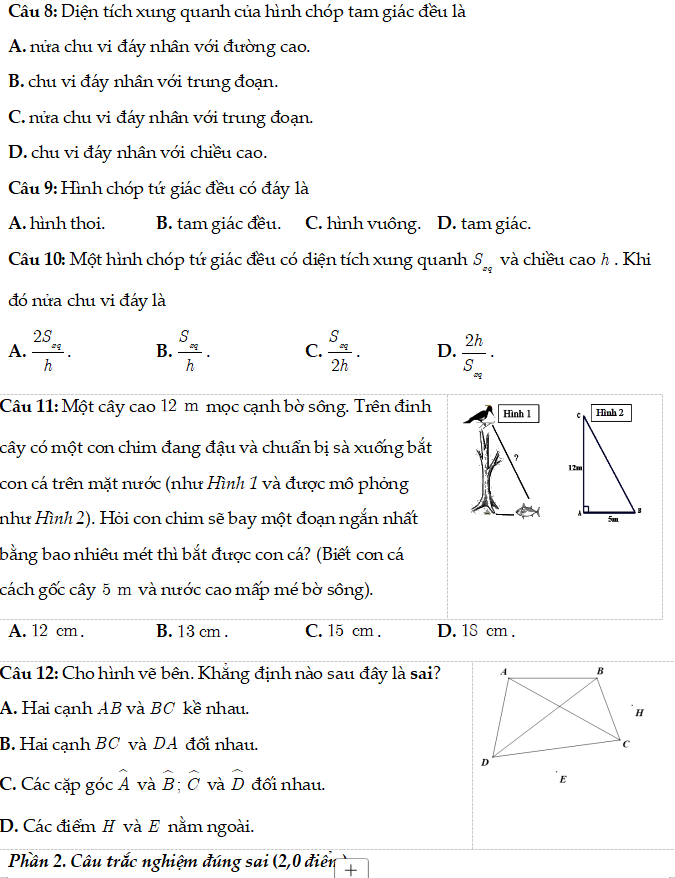 Bộ đề thi giữa học kì I Toán 8 CTST cấu trúc mới năm 2025-2026