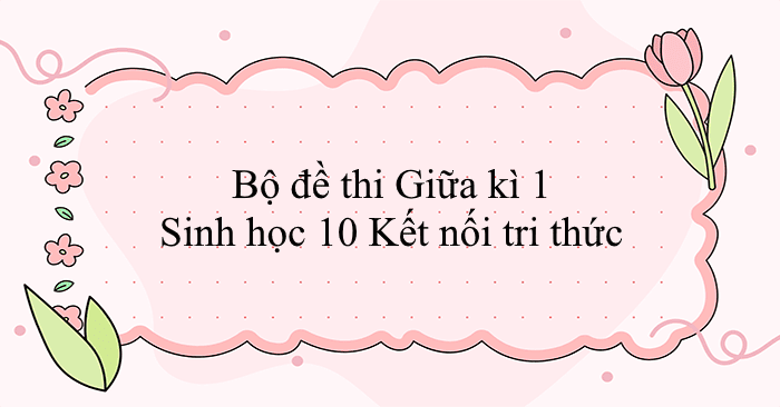 Bộ đề thi giữa học kì 1 môn Sinh học 10 Kết nối tri thức
