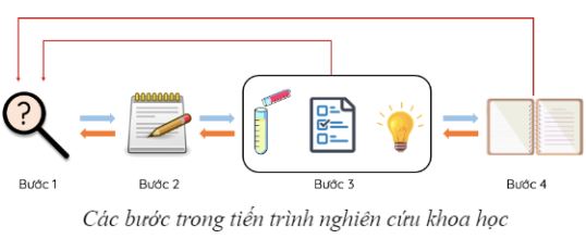 Đề thi Giữa kì 1 Sinh học 10 Kết nối tri thức - Đề 3