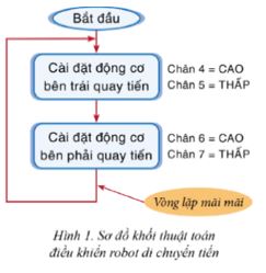 Giải Chuyên đề Tin học 10 Cánh diều bài 2: Thực hành điều khiển robot giáo dục di chuyển