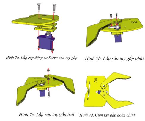 Giải Chuyên đề Tin học 10 Cánh diều bài 4: Thực hành lắp ráp các bộ phận của Robot giáo dục