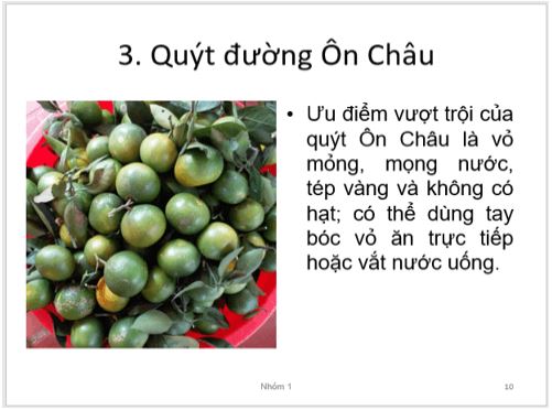 Giải Chuyên đề Tin học 10 Cánh diều bài Dự án của chuyên đề: Thực hành sử dụng phần mềm trình chiếu